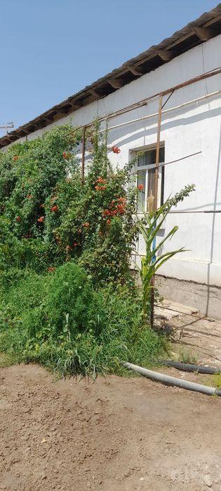 Нокис каласы Кум ауыл - 1200 кв.м - 5 бөлме - Жер жай